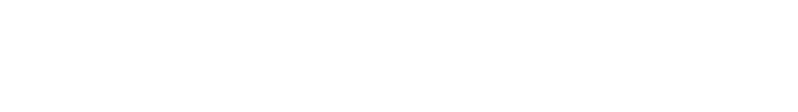 White Logotype Levior Tech