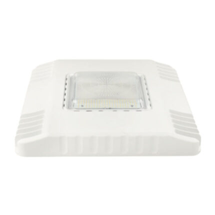 LED Canopy