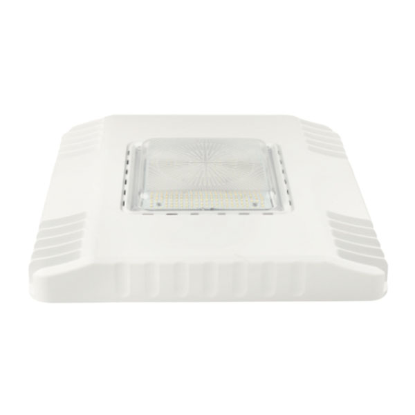 LED Canopy
